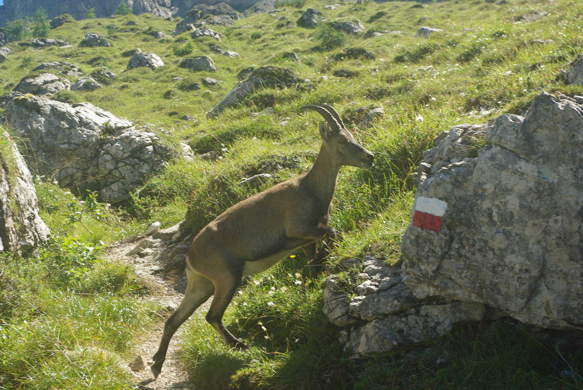 Verso il Passo Suola
