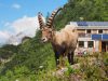 Visita al rifugio